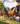 farm friends Notebook cover DOWNLOAD