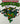 Turtles  uvdtf decal