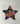 Dad camo star