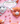 Pink cute cows  Notebook cover DOWNLOAD