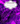 PURPLE CHECKED NOTEBOOK DOWNLOAD