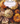 PUMPKINS notebook cover