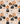 plaid pumpkins 2025 july cerra