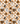 plaid ghost 2025 july cerra