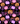BLACK WITH PUMPKINS BATS AND STARS 2025 july cerra