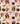 HALLOWEEN HOUSE OF ORANGE CHECKED 2025 july cerra