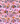 SPOOKY PINK  2025 july cerra
