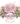 PINK SANTA  png