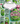 PICKLES  Notebook cover DOWNLOAD